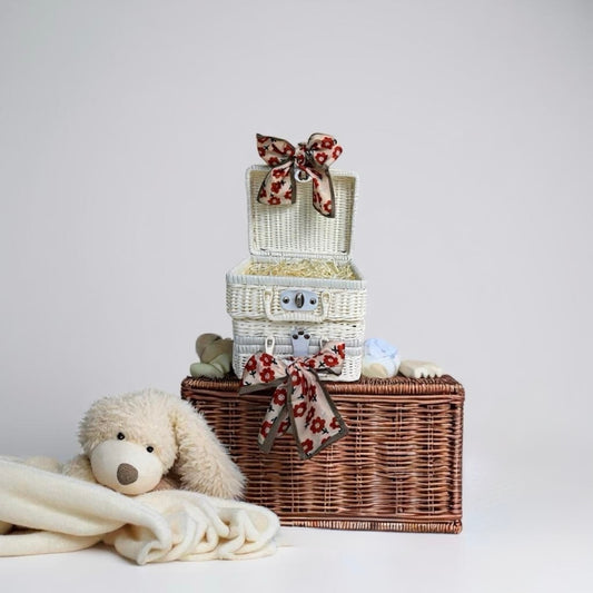 🐰Welcome Baby Gift Basket- Soft & Cozy Newborn Essentials 🎀