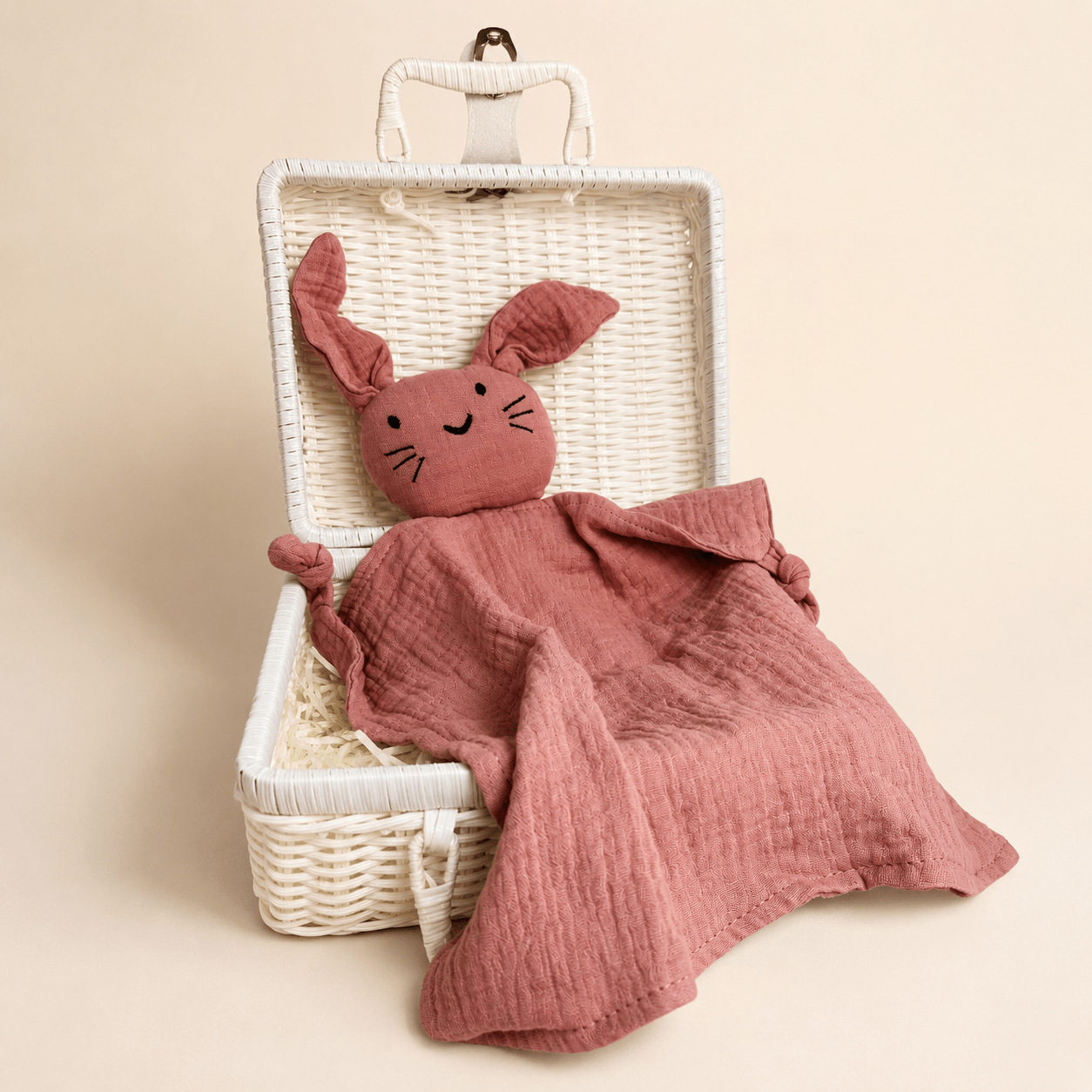 Mini Heirloom Suitcase | Blush Daisy Edition - Wrap With Love