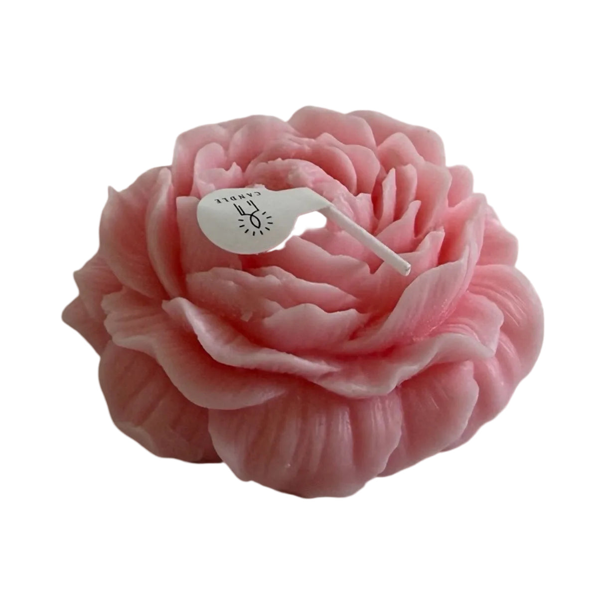 Pink peony flower candle with detailed petals on white background